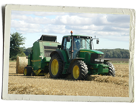 Arable