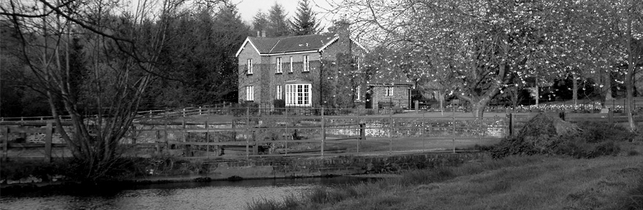 Preserving over 6 miles of pristine chalkstream water in and around Driffield.